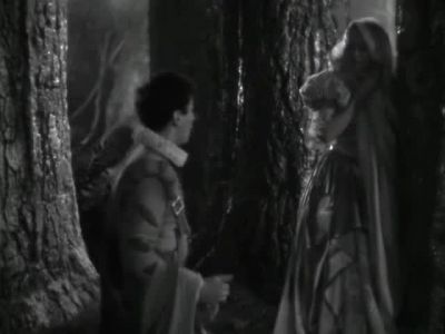 You told me they were stol'n into this wood - A Midsummer Night's Dream