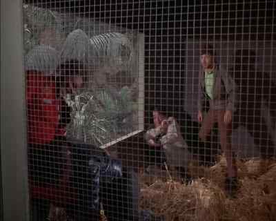 You too, captain.
Good to see
you, captain. - Land of the Giants