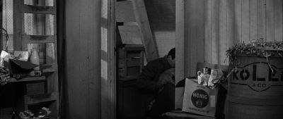 You took off your star - The Diary of Anne Frank