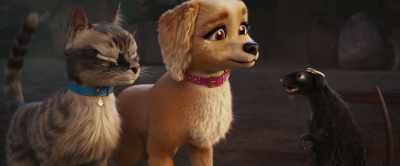 You two just sit pretty - Gracie & Pedro: Pets to the Rescue