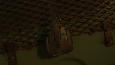 Maggie: You two! - The Walking Dead