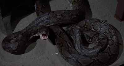 You, uh... - Sssssss