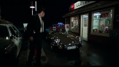 You uh want I should uhwash the dead bugs off the windshield - The Blues Brothers