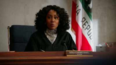 You understandthat by pleading guilty, - All Rise
