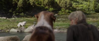 You wanna go? - The Call of the Wild