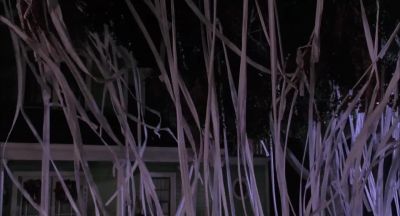You wanna smash some pumpkins NahWell then you wanna look in windows and watch babes undressIt's 3 00 They're undressed alreadyWell then you think of something I don't feel so goodIt's 'cause you're eatin' too much candy ya oinker Seek them out Mary - Hocus Pocus