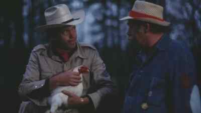 You want this chicken, Frank? - Cockfighter