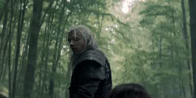You want me to kill Stregobor for you. - The Witcher