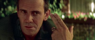 You want me to shoot Sailor - Wild at Heart