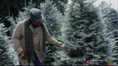 You want to put your hand
on a branch, and give it a glide. - Road to Christmas