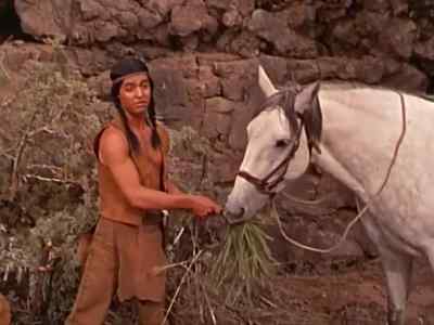 You want the grass, you come get it. - Tonka