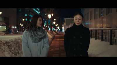 You wanted to say - Moonlit Winter
