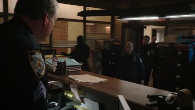 You wanted to see us, Sarge? - Blue Bloods