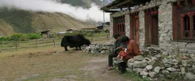 You wanted to serve our King, right? - Lunana: A Yak in the Classroom
