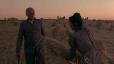 You wasted more than 12 bushels
in this row. - Days of Heaven