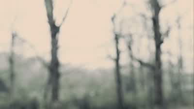 You were there. - Prisoners