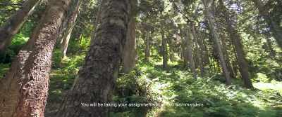 You will be taking your assignments from two commanders. - Borderless