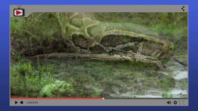 You will continue to eat ship - When Nature Calls with Helen Mirren