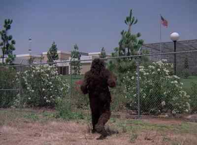 You will do as I say, otherwise
Shalon will die by electrocution. - The Six Million Dollar Man