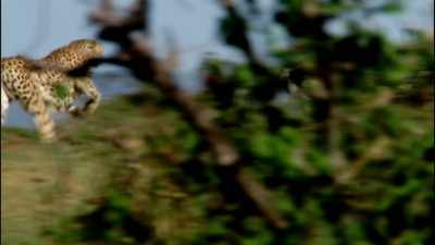 You will eat ship,
you will keep eating ship - When Nature Calls with Helen Mirren
