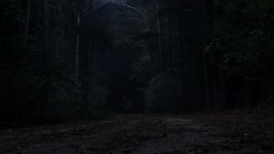 You will fall. - The Walking Dead