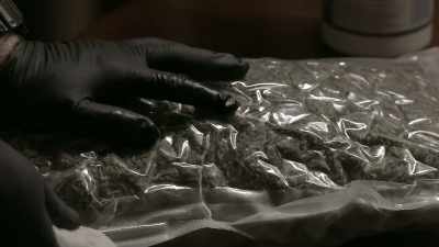 You wipe down for any fingerprints, - Murder Mountain