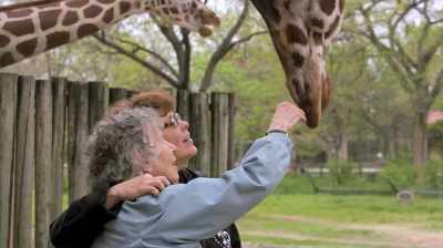You won't get
a giraffe article out there - The Woman Who Loves Giraffes