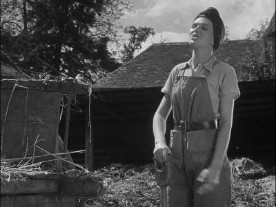You won't get much of a view I'm afraid - A Canterbury Tale