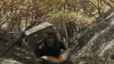 You work all year long - Sasquatch