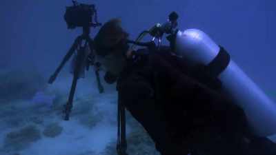 You would find your markings
for the tripod, - Chasing Coral