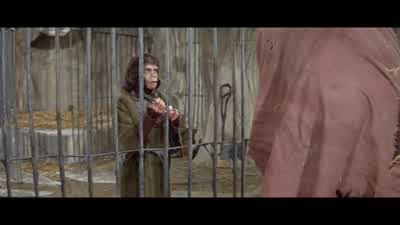 You... you wouldn't hurt me, would you, Taylor? - Planet of the Apes