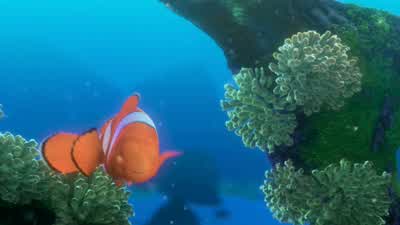 - You wouldn't know how to get there? - Finding Nemo