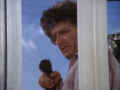 YOU -- YOU MIGHT CALL IT... - Hawaii Five-O
