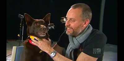 You'd be at a restaurant, - Koko: A Red Dog Story