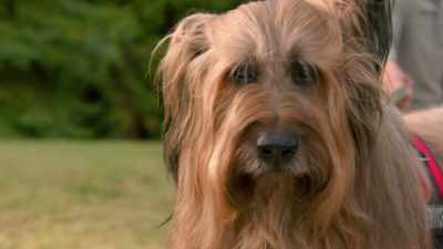 You'd know, a dog's job
is to forget about himself - The Healing Powers of Dude