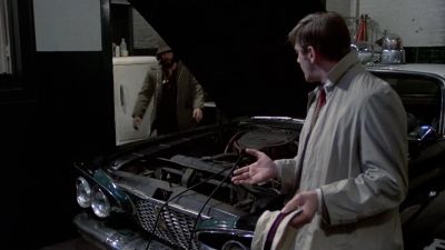 You'd never hurt another cop right - Serpico