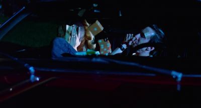 You'll be ready for the back seat in a minute - Polyester