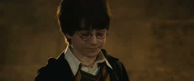 You'll be serving detention with Hagrid tonight. - Harry Potter and the Philosopher's Stone