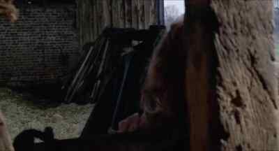 - You'll be too late. - The Blood on Satan's Claw