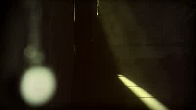 You'll die. - The Walking Dead