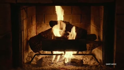 You'll know when the
right one comes along. - Adult Swim Yule Log