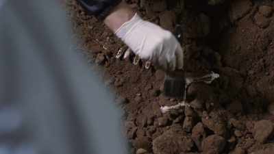 youll-move-heaven-and-earth-find-kid - Buried In The Backyard