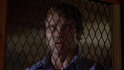 You'll never shoot again - Walking Tall