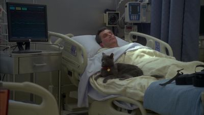 You'll note how faster,
pussycat! Kill! Kill! - House