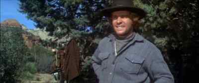 You'll pay for that. - Wild Rovers