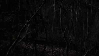 You'll trip.
Be careful. You may fall. - Friday the 13th Part VII: The New Blood