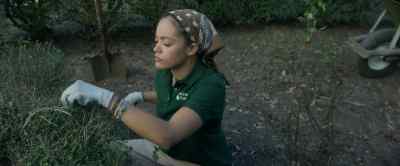 Young people who knows - Master Gardener