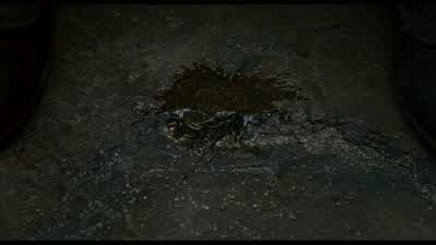 YOUNG SHEM: She was the only one moving. - Noah