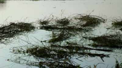 YOUR BACK IS BREAKING
DOING THIS AND THEN YOU GET - Before the Flood