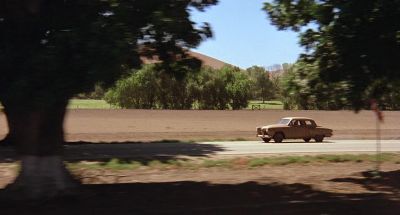 Your big scene is coming up - The Muppet Movie